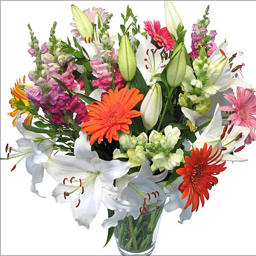 mixed+bouquet+gif+osCsid%3De21f112207ab168738abe2733f5810f7 mixed+bouquet+gif+osCsid%3De21f112207ab168738abe2733f5810f7